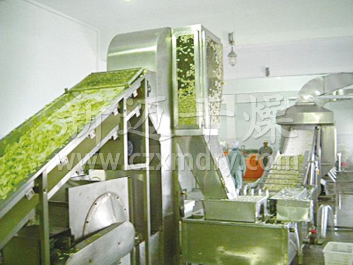 DWC系列脱水蔬菜带式干燥机